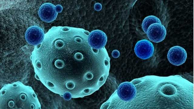 exosome Lille